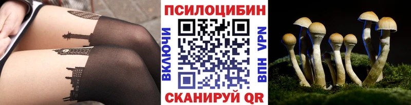 Купить закладки  Бавлы  Галлюциногенные грибы мухоморы 
